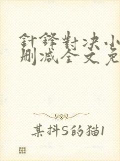 针锋对决小说未删减全文免费笔趣阁