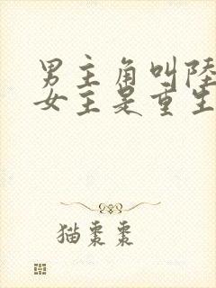 男主角叫陆霆琛女主是重生的