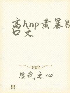 高hnp黄暴粗口文