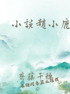 小说赵小鹿李叔