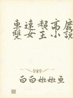 车速超高废文的双女主小说