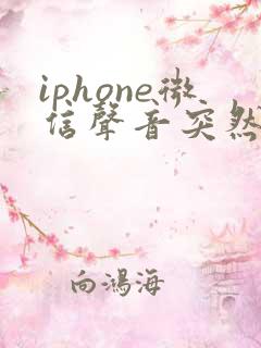 iphone微信声音突然变小了