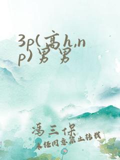 3p(高h,np)男男