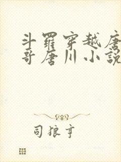 斗罗穿越唐三亲哥唐川小说