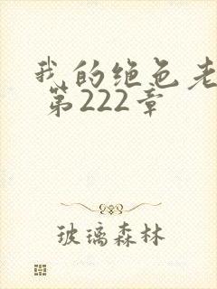 我的绝色老板娘 第222章