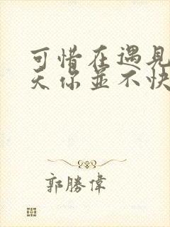 可惜在遇见我那天你并不快乐是什么歌