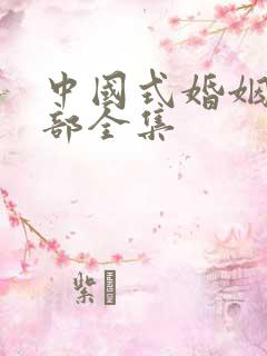 中国式婚姻第二部全集