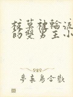 校草被轮流欺负的双男主小说推荐