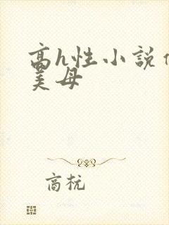 高h性小说催眠美母