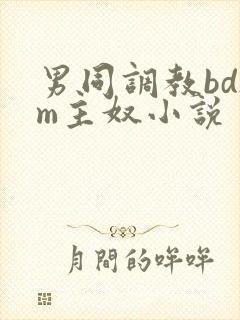 男同调教bdsm主奴小说