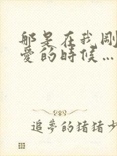 那是在我刚刚懂爱的时候…什么歌