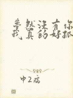 梦然没有你陪伴我真的好孤单 原唱