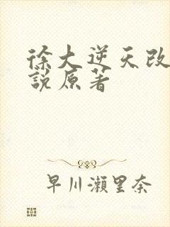 徐大逆天改命小说原著