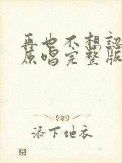 再也不想认识谁原唱完整版歌词