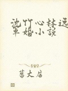 沈竹心林逸重生军婚小说