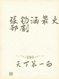 张钧涵最火的三部剧