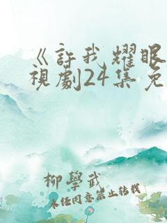 《许我耀眼》电视剧24集免费观看