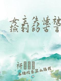 女主失忆被男主捡到的古言