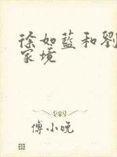 徐如蓝和刘子晗家境