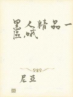 黑人精品一区二区,哦