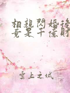 相亲闪婚后老公竟是千亿财阀