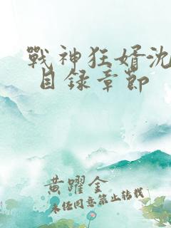 战神狂婿沈七夜 目录章节