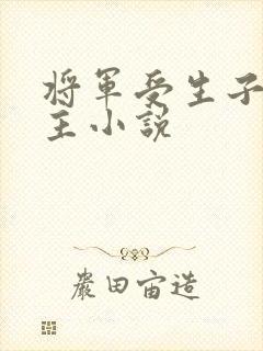 将军受生子双男主小说