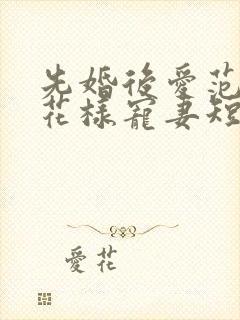 先婚后爱范总的花样宠妻短剧全集