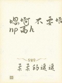 嗯啊 不要啊 np高h