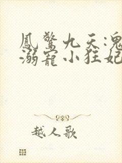 凤惊九天:鬼帝溺宠小狂妃