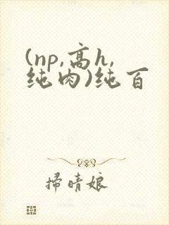 (np,高h,纯肉)纯百