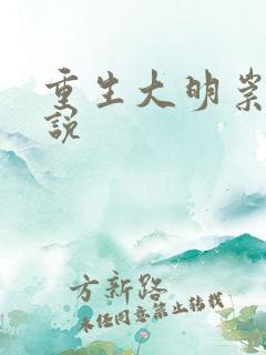 重生大明崇祯小说