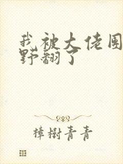 我被大佬团宠后野翻了