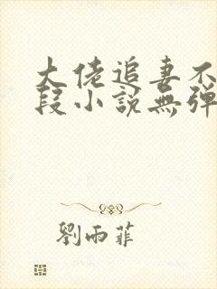 大佬追妻不择手段小说无弹窗