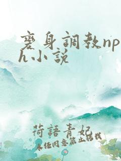 变身调教np高h小说