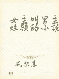 女主叫男主叔叔姓顾的小说