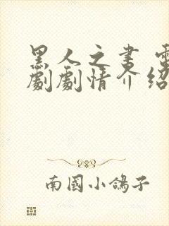 黑人之书 电视剧剧情介绍大结局