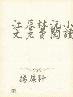 江辰林沅小说全文免费阅读