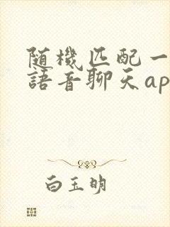 随机匹配一对一语音聊天app