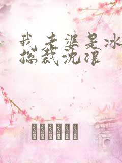 我老婆是冰山女总裁沈浪