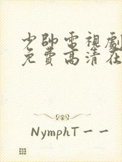 少帅电视剧全集免费高清在线观看