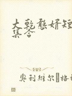 大乾憨婿短剧全集合