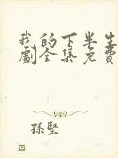 我的下半生电视剧全集免费观看高清