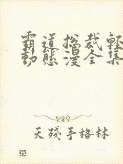 霸道总裁轻点爱动态漫全集