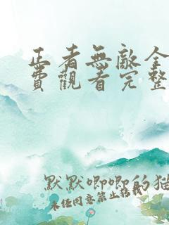 正者无敌全集免费观看完整版高清