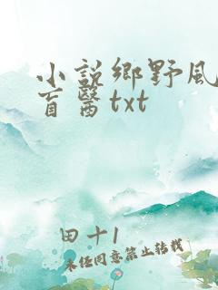 小说乡野风流小盲医txt