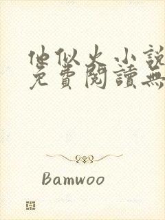 他似火小说全文免费阅读无弹窗