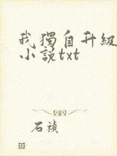 我独自升级原著小说txt