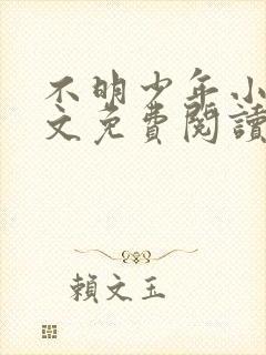 不明少年小说全文免费阅读笔趣阁