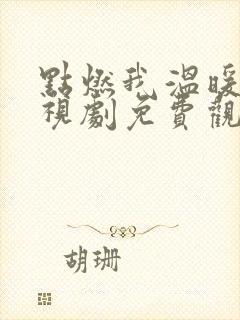 点燃我温暖你电视剧免费观看在线